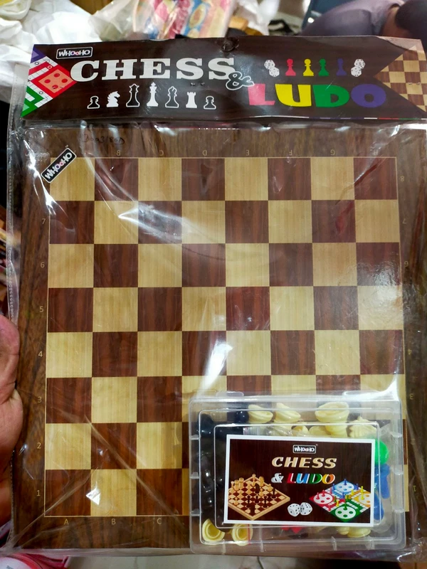 Chess & Ludo  - 1 PCS