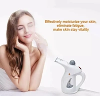 Classy Face & Cloths Steamer - Free Size