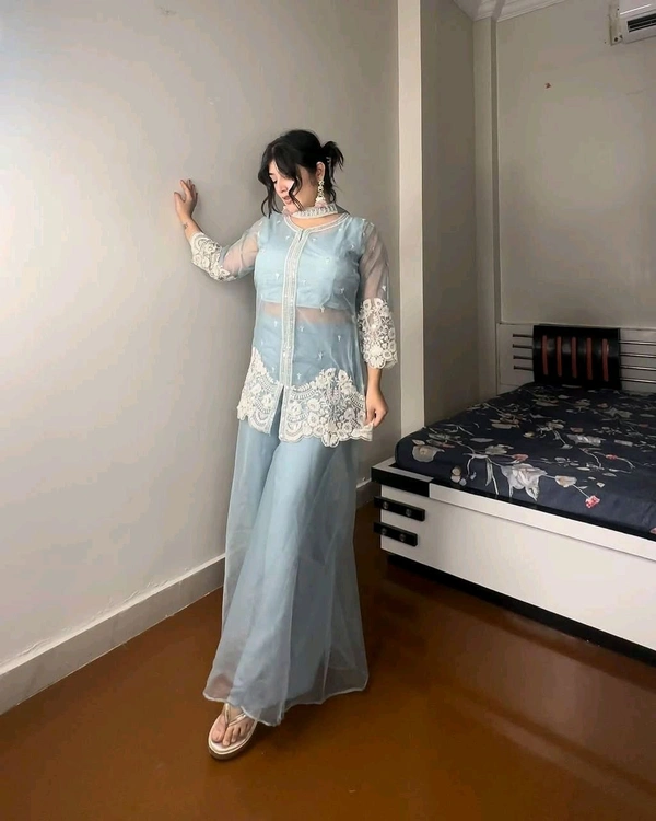 DSS 5757 New soft Organza With Sequnce Embroidery Work Plazzo Set  - Moody Blue, XL-42