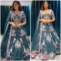 DSS 5774 *Own Modelling 4 Meter Flared Lehenga Butterfly Net embroidered Sequins work with Cancan & Canvas Patta - 2XL-44