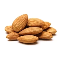 Bold Badam 