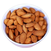 Bold Badam 