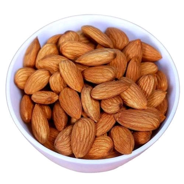 Bold Badam 