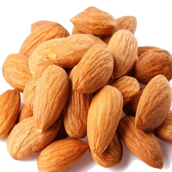 Bold Badam 