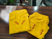 KDJ 3704 Beautiful Kurta & Plazo - L-40