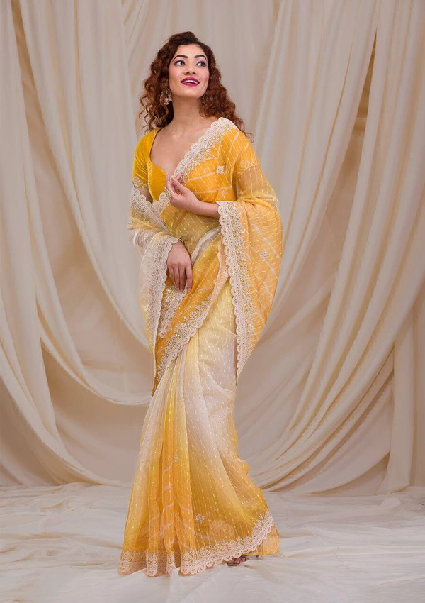 DSS BEAUTIFUL Georgette Embroidery Saari - orange, 5.5meter