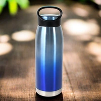 Stainless Steel Water Bottle 