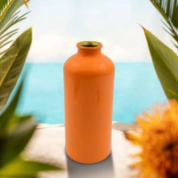 5172 Aluminium Sports Water Bottle 