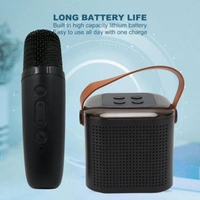 5235 Wirless Speaker 