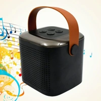5235 Wirless Speaker 