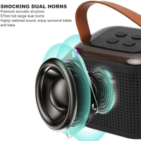 5235 Wirless Speaker 