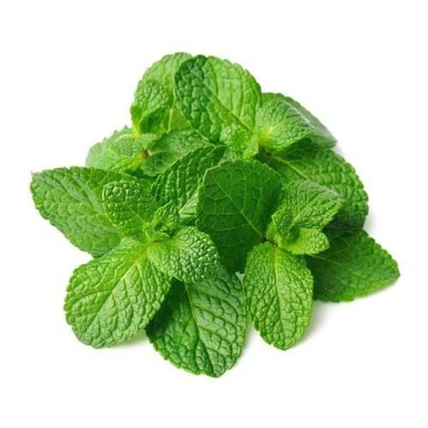 Mint Leaves (Pudina) 100g