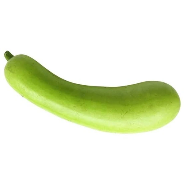 Bottle Gourd (Dudhi) 1 pieces