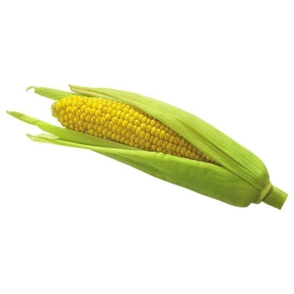 Corn (Mukai) 1 piece