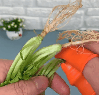 BKH0054a Armored Thumb Knife Cutter