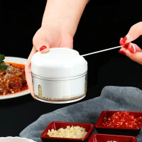 BKH2402 Mini Garlic Chopper
