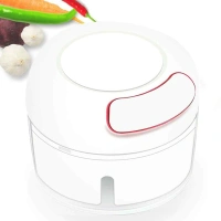 BKH2402 Mini Garlic Chopper