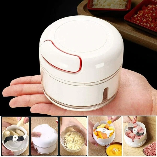 BKH2402 Mini Garlic Chopper