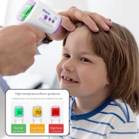 BKH6069 Infrared Thermometer