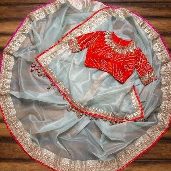   Thin Organza Saree With Beautiful Embroider Border, Fully Stitched Embroider Blouse( Brocade Fabric) , Saree Length:5.5M, Blouse Length:80 CM, COD Available