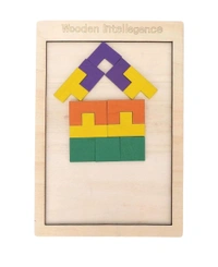 Brain Teaser Block Puzzle