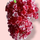 Shanol -Artificial Flower Pot For Home , Living Room ,Table Decor Green, Red Rose Artificial Flower