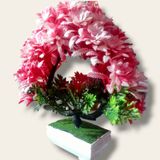 Shanol Red Leves Green Leves Heart Tree Flower Pot 