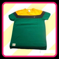 RETRO SPORTS Men Color Block Round Neck Pure Cotton Green ,Yellow T-shirt - Japanese Laurel, L, T -Shirt