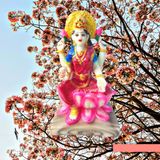 DIVINE GIFT Divine Gifts Laxmi Mata Marble Idol | Marble Statue | Murti for Pooja Room | Idols Home Decor (White & Golden) (White & Golden, 7 Inch) - Tickle Me Pink, 7 Inch, Artificial Statue