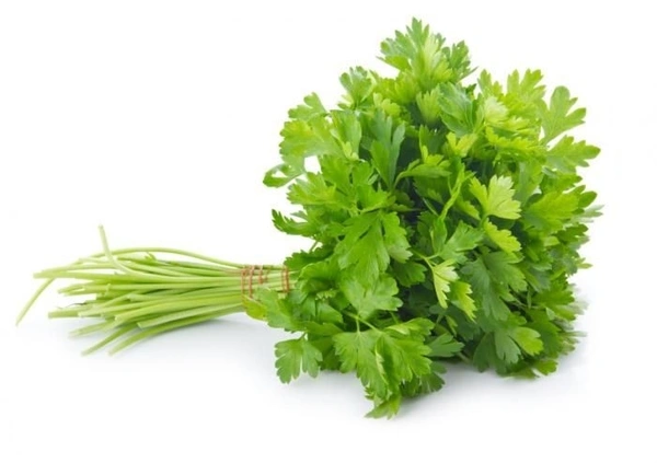 Coriander ( Dhaniya ) - 1 Kg