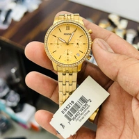 Fossil Premium Collection For Women