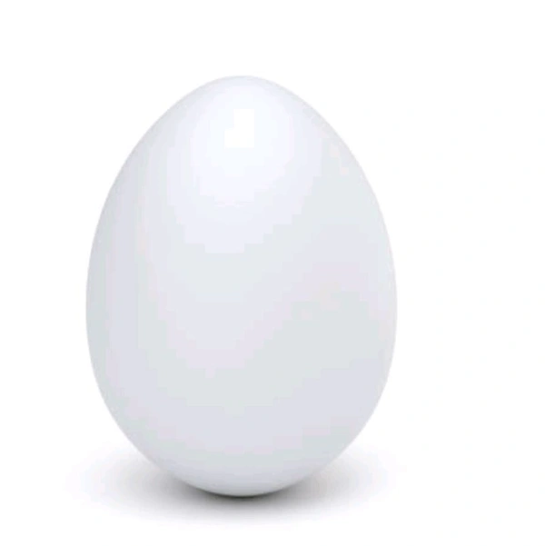 Egg