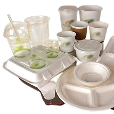 Disposable Items