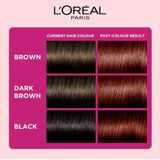 L'Oreal Paris Casting Creme Gloss Hair Color, Mohagany550, 87.5g