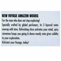 Park Avenue Voyage Perfume Body Spray for Men 120ml 