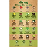 Kesh King Oil  Kesh King Ayurvedic Anti Hairfall Hair Oil, 100ml
