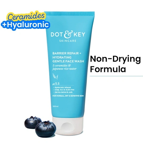 Dot & Key Barrier Repair + Hydrating Gentle Face Wash (100ml)