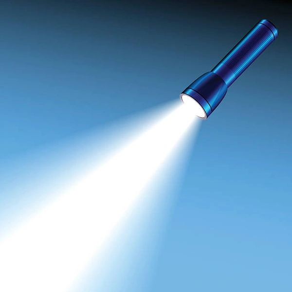 Pl 010 Light