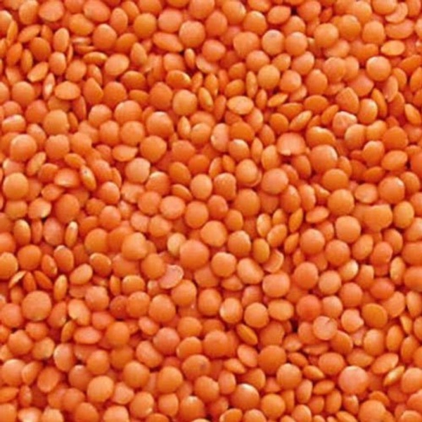 Musoor Dal - 1Kg