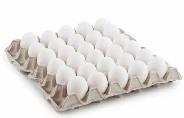 Egg Tray - 30nos