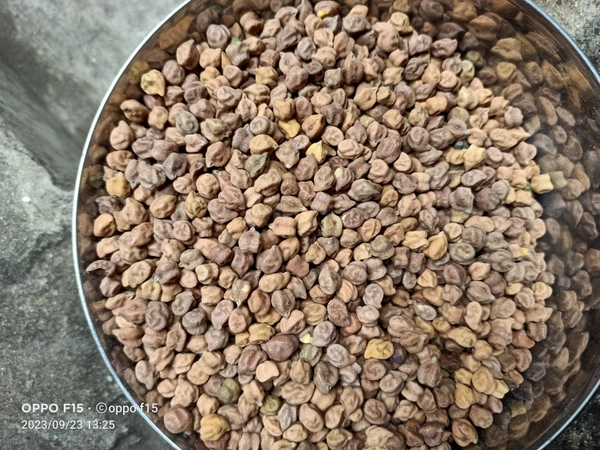 Kacha Chola 1kg