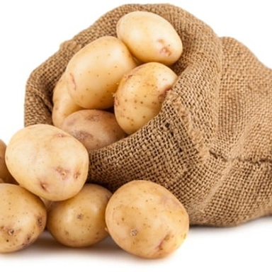 Vegetable