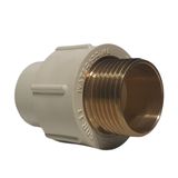 WaterPrime® Brass MTA 25mm - Robust Male Threaded Adapter for Efficient Plumbing Solutions - 25 mm