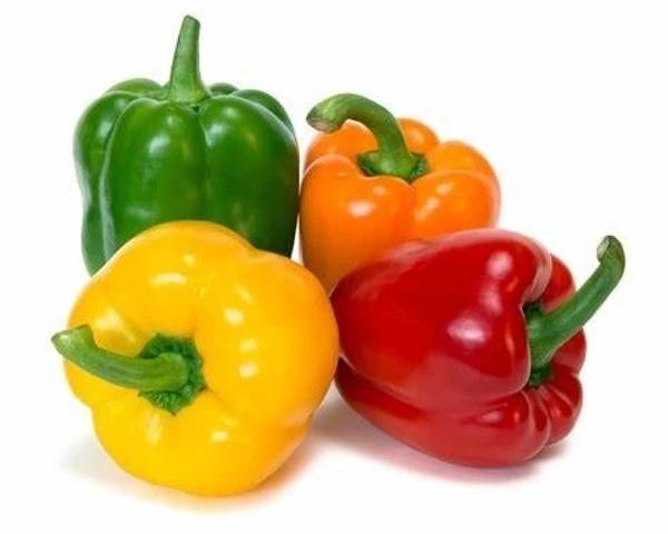 Capsicum (Shimla Mirch) Seedling (100 Pcs.)