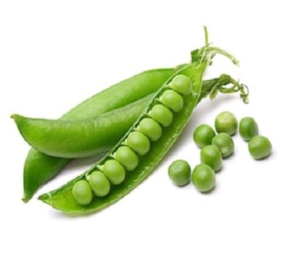 Green Peas (Matar) Seeds