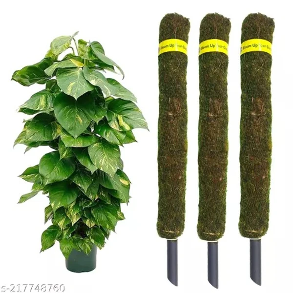 Moss Stick