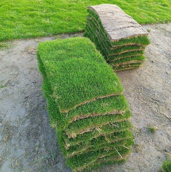 Lawn Grass (30 SQF.) - 