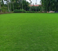 Lawn Grass Carpet 