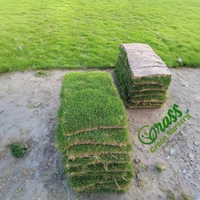 Lawn Grass Carpet 