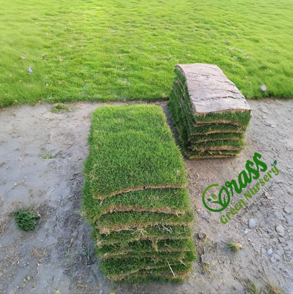 Lawn Grass Carpet 